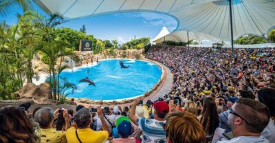 Loro Parque Entry Ticket