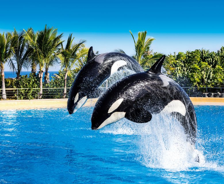 Tenerife: Loro Parque Entry Ticket - Food and Breaks: What to Expect When Hunger Hits