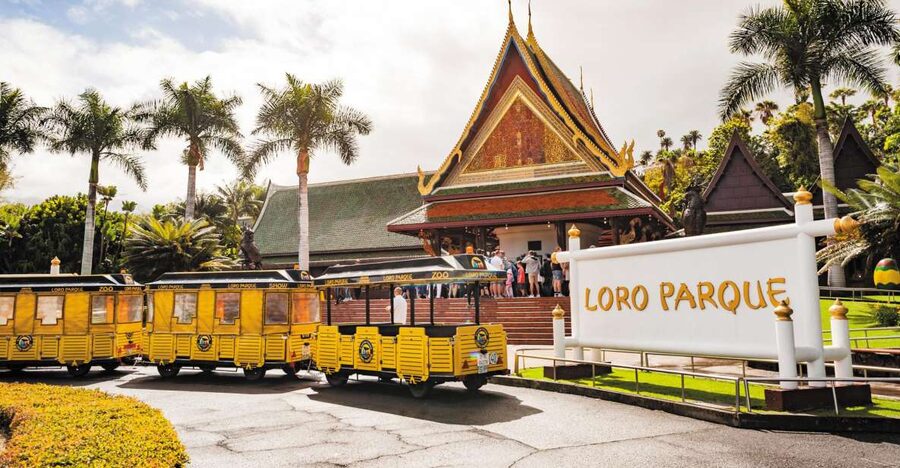 Tenerife: Loro Parque & Siam Park Entry Ticket with Transfer - A Practical Twin Ticket for Tenerife’s Big Family Parks