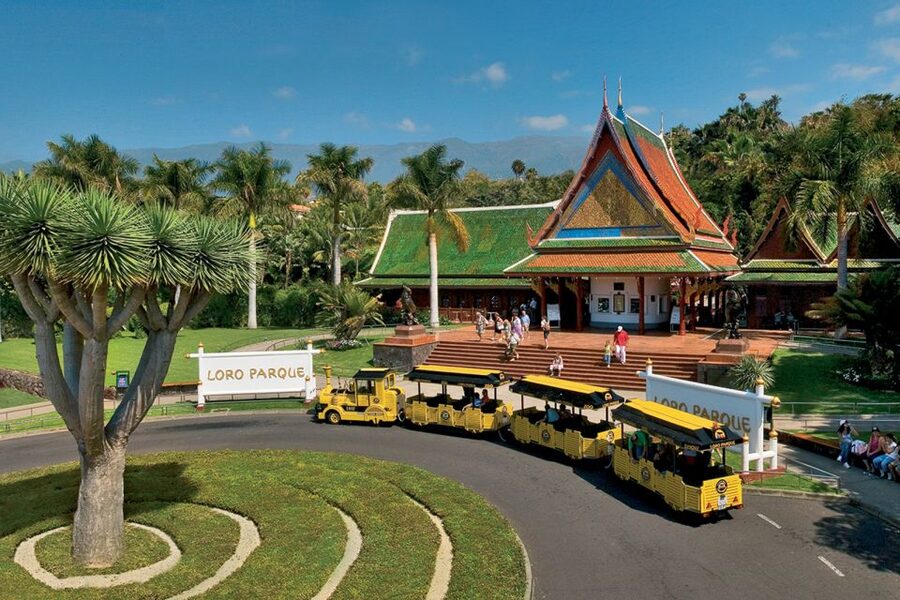 Tenerife: Loro Parque & Siam Park Entry Ticket with Transfer - What to Bring and Simple Tips That Actually Help