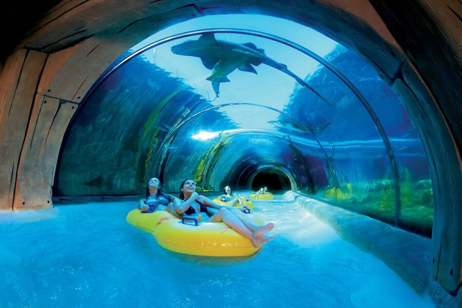 Tenerife: Loro Parque & Siam Park Entry Ticket with Transfer - Who This Twin Ticket Suits Best on Tenerife