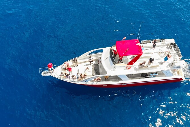 Tenerife Los Cristianos: Whale and Dolphin Eco-Yacht and Swim Stop - Stop 1 in practice: Los Cristianos check-in that saves your day