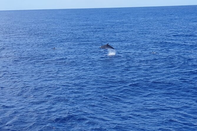 Tenerife Los Cristianos: Whale and Dolphin Eco-Yacht and Swim Stop - Stop 2 at Playa de Los Cristianos: the swim and snorkel moment