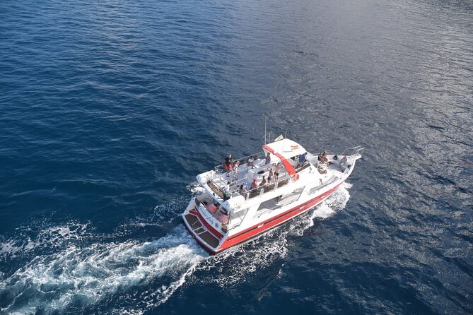 Tenerife Los Cristianos: Whale and Dolphin Eco-Yacht and Swim Stop - Price and value: how $18.10 adds up on a short boat day