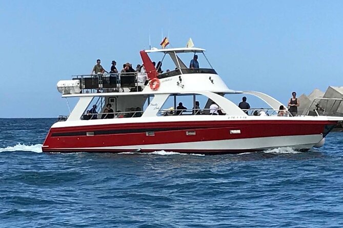 Tenerife Los Cristianos: Whale and Dolphin Eco-Yacht and Swim Stop - Eco-friendly claims and wildlife etiquette: what you should watch for