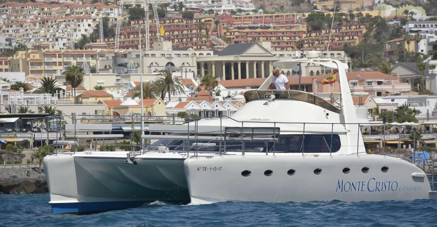 Tenerife: Marine-Life Tour with Transfer, Buffet and Drinks - Key things that make this cruise worth your time