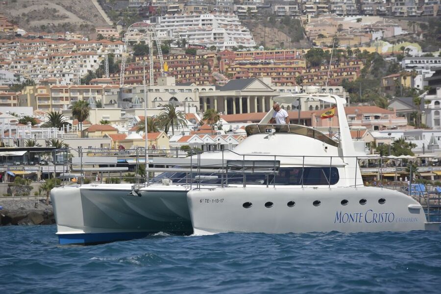 Tenerife: Marine-Life Tour with Transfer, Buffet and Drinks - Why this 3-hour catamaran feels like strong value