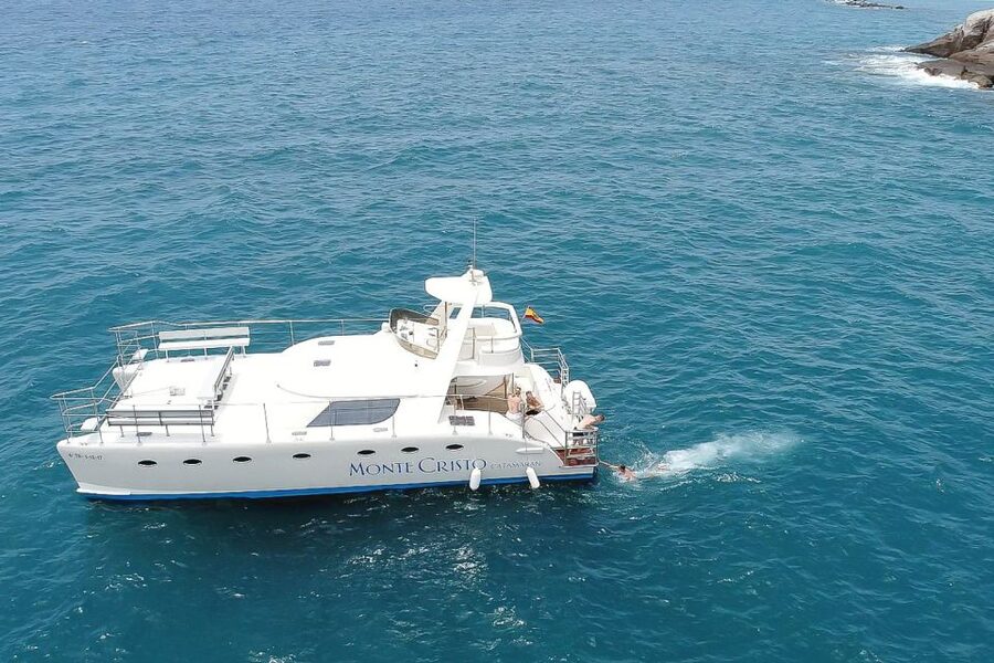 Tenerife: Marine-Life Tour with Transfer, Buffet and Drinks - How the crew looks for whales and dolphins (and what you can realistically expect)
