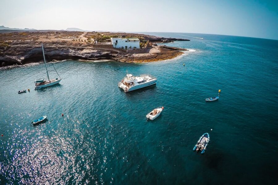 Tenerife: Marine-Life Tour with Transfer, Buffet and Drinks - On-board comfort: small group, real space, relaxed pace