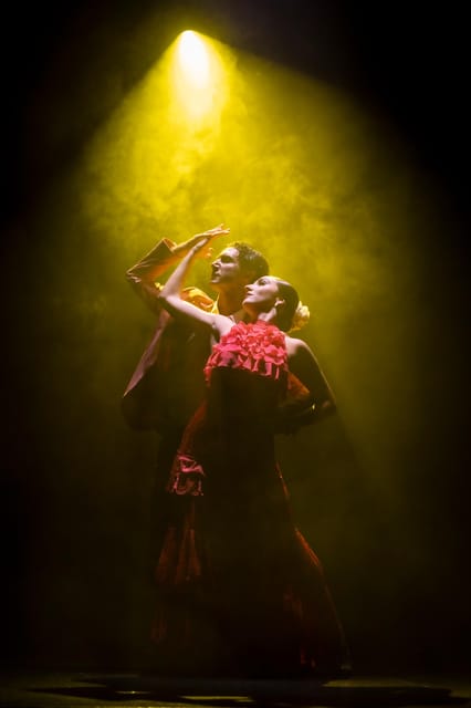 Tenerife : Olé Flamenco Show by Fran Chafino Ticket - Key highlights