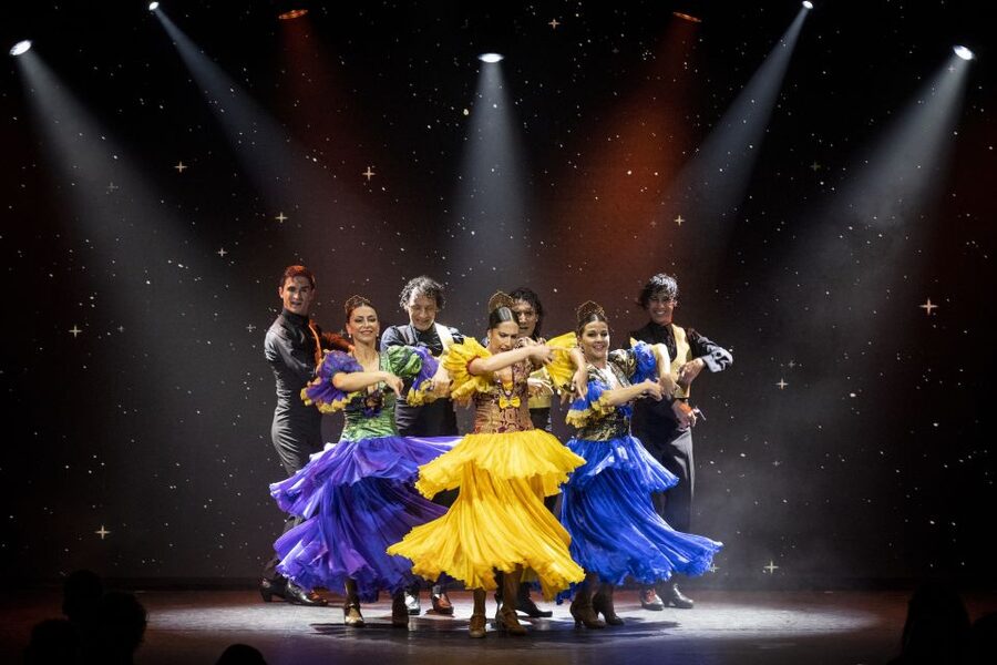 Tenerife : Olé Flamenco Show by Fran Chafino Ticket - Where you sit, and why the room setup matters more than you think
