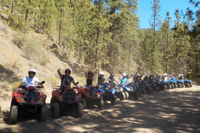 Tenerife: Quad Adventure Teide Tour - Pickup from South Tenerife: does it save you time, or add a hassle?