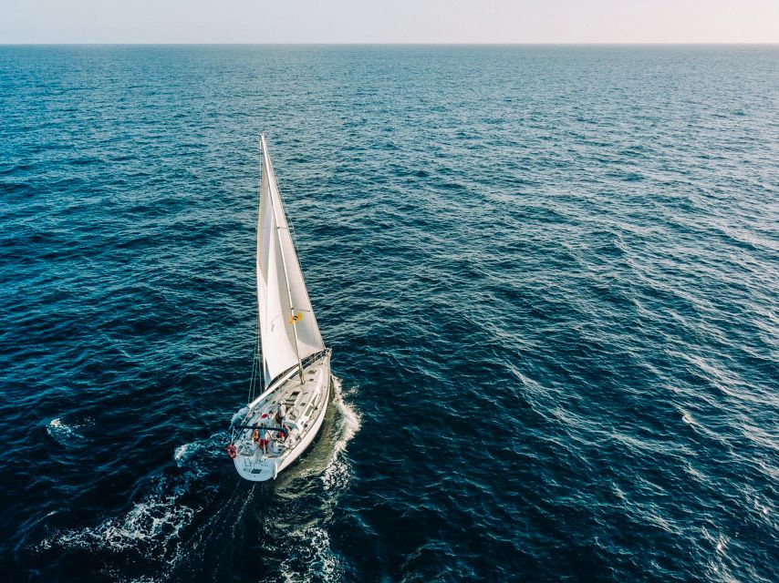 Tenerife: Sailboat Tour Whale Watching Food and Snorkeling - Snorkeling stop: warm water time that’s short but well placed