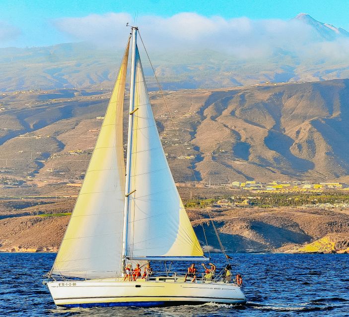 Tenerife: Sailboat Tour Whale Watching Food and Snorkeling - Who should book this Tenerife whale watching sailboat, and who might pass