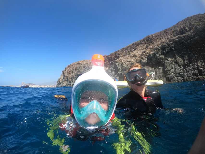 Tenerife Snorkeling boat trip in a Turtle Habitat - Where You Meet: The PADI 5 Centre by Puerto Colón