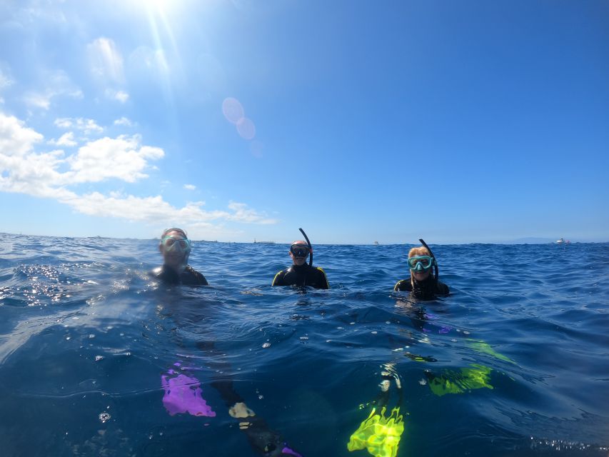 Tenerife Snorkeling boat trip in a Turtle Habitat - Gear and Comfort: Wetsuit, Mask Fit, and the Glasses Constraint
