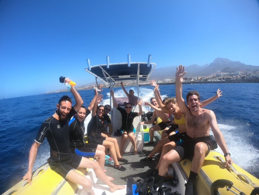 Tenerife Snorkeling boat trip in a Turtle Habitat - Who Should Book This Tenerife Turtle Snorkel Safari
