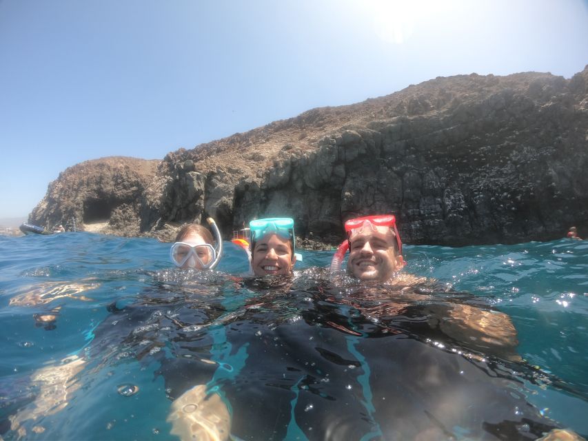 Tenerife Snorkeling boat trip in a Turtle Habitat - Final Call: Should You Book It?