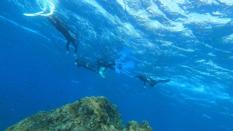 Tenerife: Snorkeling Tour in a Marine Protected Area - The guides matter: Rafaella and Ron, patient coaching, and keeping the group together