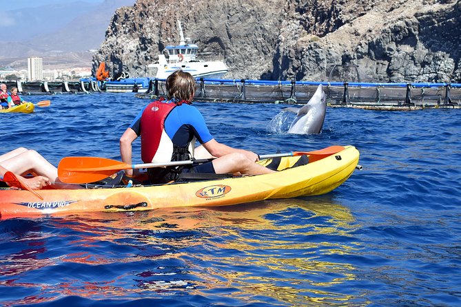 Tenerife: Turtle & Dolphin Kayak Tour with Snorkel & Wetsuit - The mid-tour snorkeling break, with gear already handled