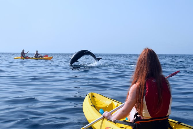 Tenerife: Turtle & Dolphin Kayak Tour with Snorkel & Wetsuit - How hard is kayaking, really, with real wave time?