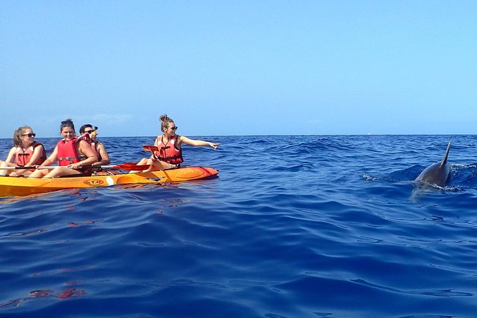 Tenerife: Turtle & Dolphin Kayak Tour with Snorkel & Wetsuit - Value at $42.33: what you’re really paying for