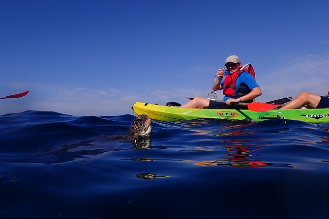 Tenerife: Turtle & Dolphin Kayak Tour with Snorkel & Wetsuit - Guides make the day: instruction, pacing, and safety style