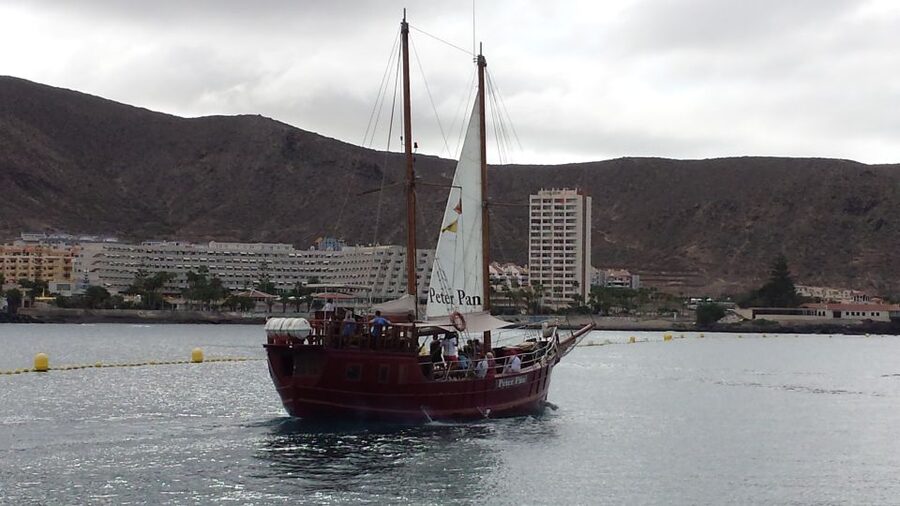 Tenerife: Whale & Dolphin Watching Cruise with Swim Stop - Getting to Los Cristianos: Expect Coach Time and Ocean Air