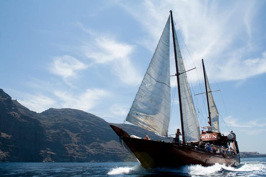 Tenerife: Whale & Dolphin Watching Cruise with Swim Stop - What the Crew Teaches You While You Watch