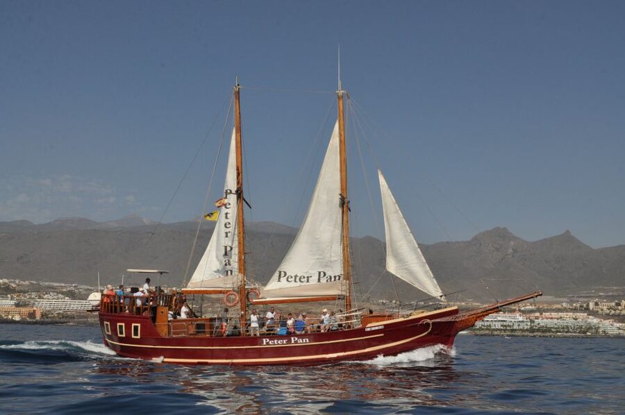 Tenerife: Whale & Dolphin Watching Cruise with Swim Stop - Who This Cruise Is Best For (And Who Should Skip It)