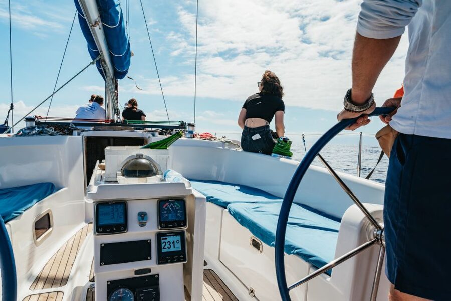 Tenerife: Whale & Dolphin Watching with Drinks and Snacks - Price and value: what $77 includes, and how that stacks up