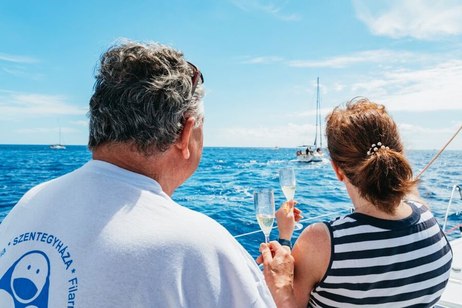 Tenerife: Whale & Dolphin Watching with Drinks and Snacks - How the best captains keep it respectful (and why you should care)