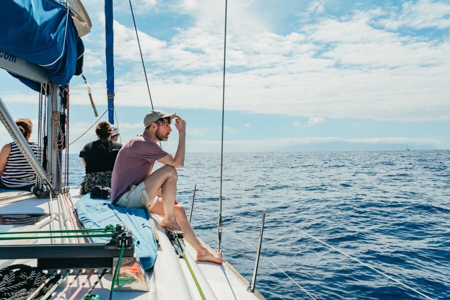 Tenerife: Whale & Dolphin Watching with Drinks and Snacks - Safety and sea conditions: comfort, motion control, and expectations