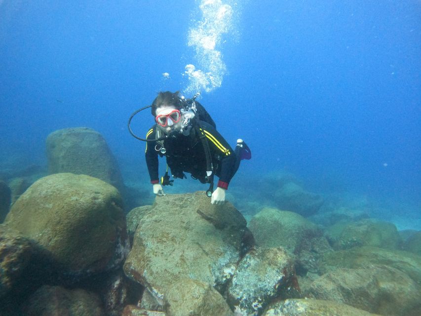 Tenerife: Your First Scuba Diving Experience in Turtle Area - Key Things I’d Book This For