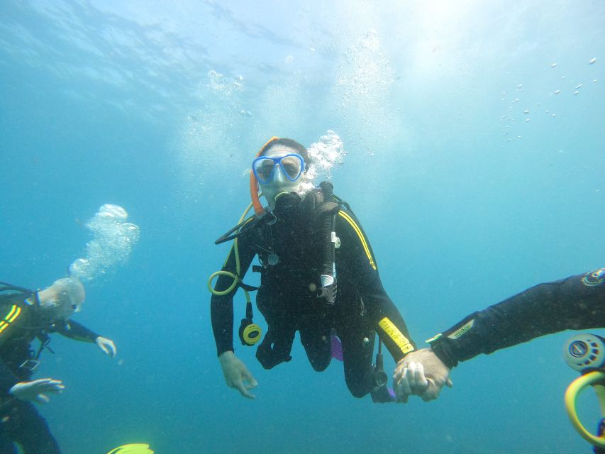 Tenerife: Your First Scuba Diving Experience in Turtle Area - Who This Tenerife First Scuba and Snorkeling Trip Fits Best