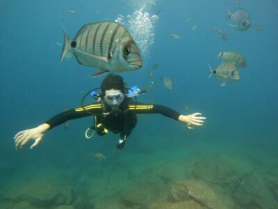 Your First Scuba Diving Experience in Turtle Area