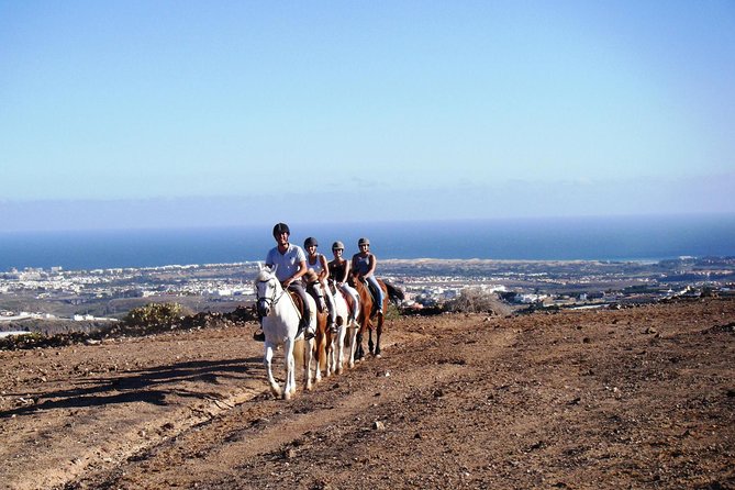 The Best Horse Riding Experience in Gran Canaria (2 hours) - Key highlights worth knowing