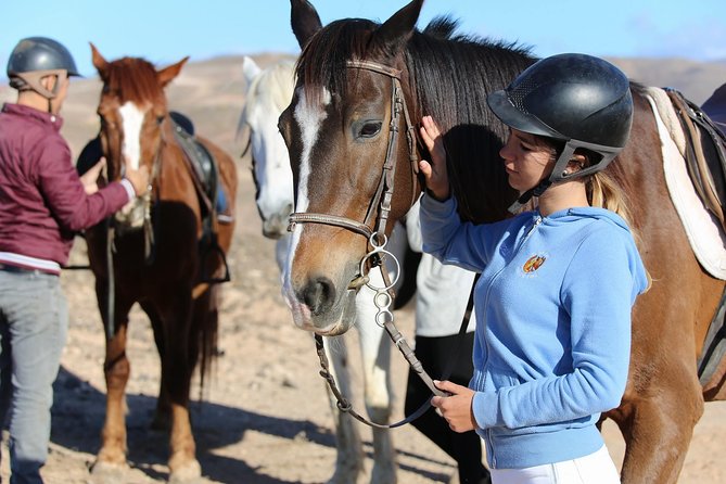 The Best Horse Riding Experience in Gran Canaria (2 hours) - Getting There Smoothly, Pickup And What To Bring