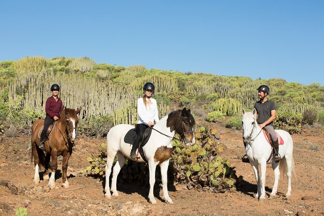 The Best Horse Riding Experience in Gran Canaria (2 hours) - Trotting, Cantering, And The Gallop Moment (If Your Level Fits)