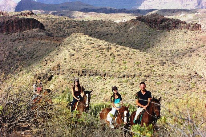The Best Horse Riding Experience in Gran Canaria (2 hours) - Horses, Welfare, And What You Should Watch For