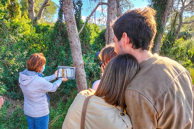 The Original Albufera Tour: Barraca, Boat Ride & Local Guide - Key things that make this Albufera tour worth your attention
