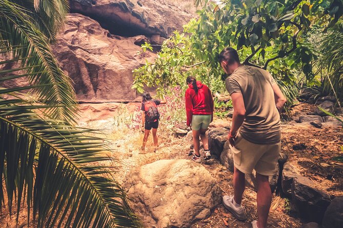The Red Canyon Tour - Small Group Trip with Local Food Tasting ツ - Cafetería La Caldera de Tirajana: Typical Food, Local Tasting Time