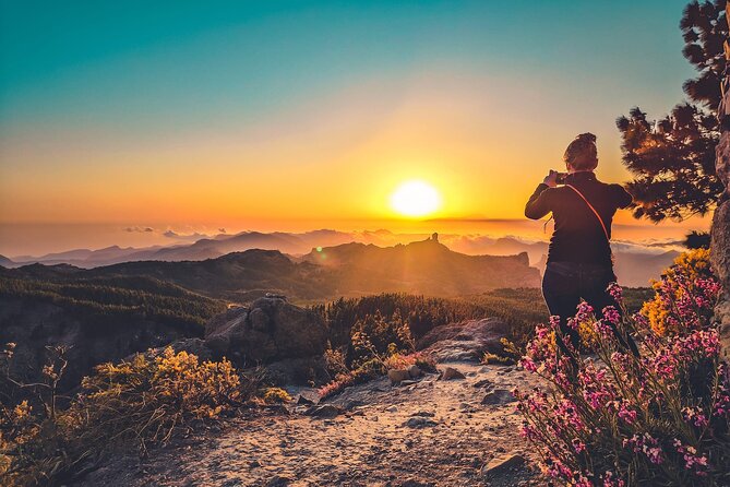 The Volcano Heart Tour: Hiking, Tasting and Sunset Experience - Stop 2: Caldera de Bandama, where the vegetation meets the rock