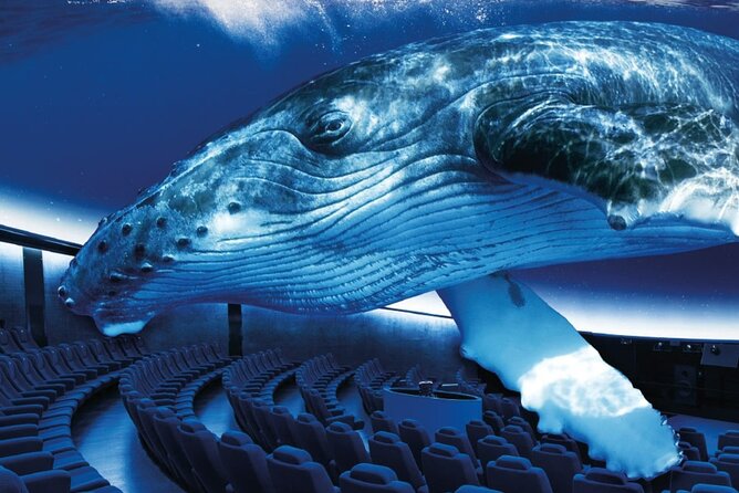Ticket Palma Aquarium - Key highlights before you go