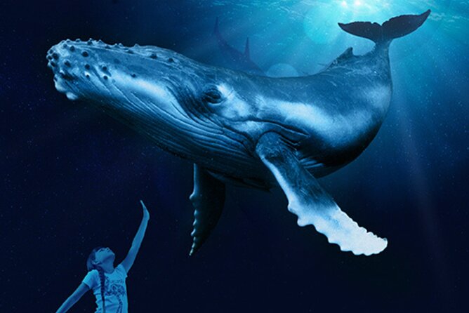 Ticket Palma Aquarium - Family-Friendly Comfort: Play Areas, Splash Fun, and Indoor Breaks