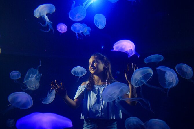 Ticket Palma Aquarium - Price and Value: Is About $36.55 Worth It?