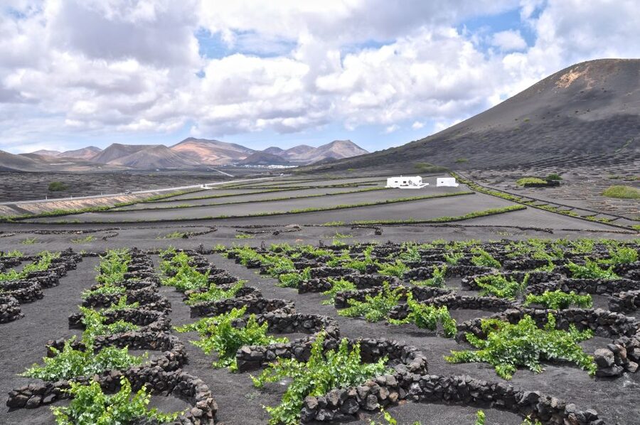 Timanfaya And El Golfo For Cruise Passengers (Mornings) - Your Morning Route From Arrecife (and How Not to Miss the Bus)