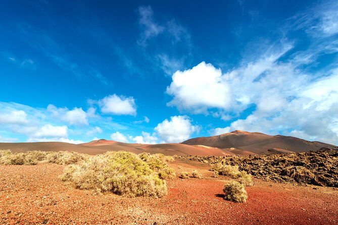 Timanfaya & Lanzarote Volcano Experience - Castor of Camels Stop: Optional Ride, Direct Payment