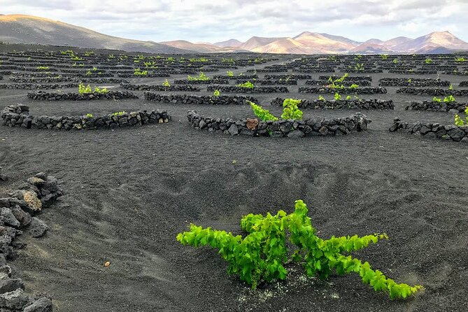 Timanfaya & Lanzarote Volcano Experience - El Golfo and Lago Verde: The Best “Stop and Breathe” Moment