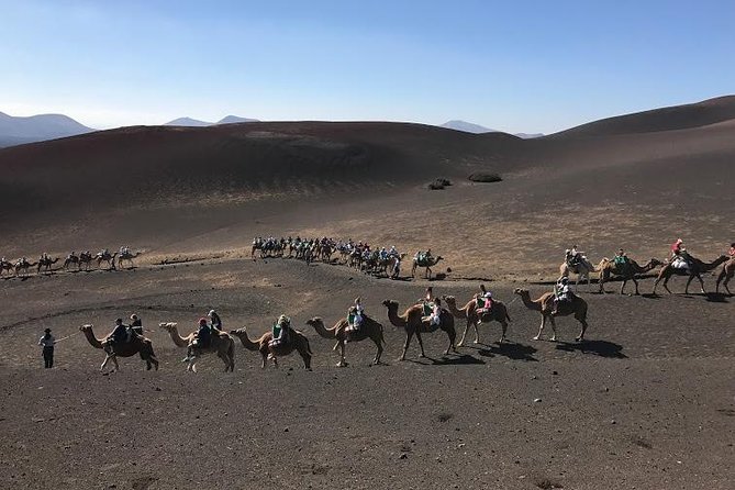 Timanfaya & Lanzarote Volcano Experience - Riding the Route of the Volcanoes, Seated and Focused